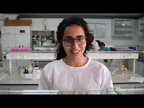 Transformando o Futuro: O Impacto do Colegio S Gonçalo na Educação